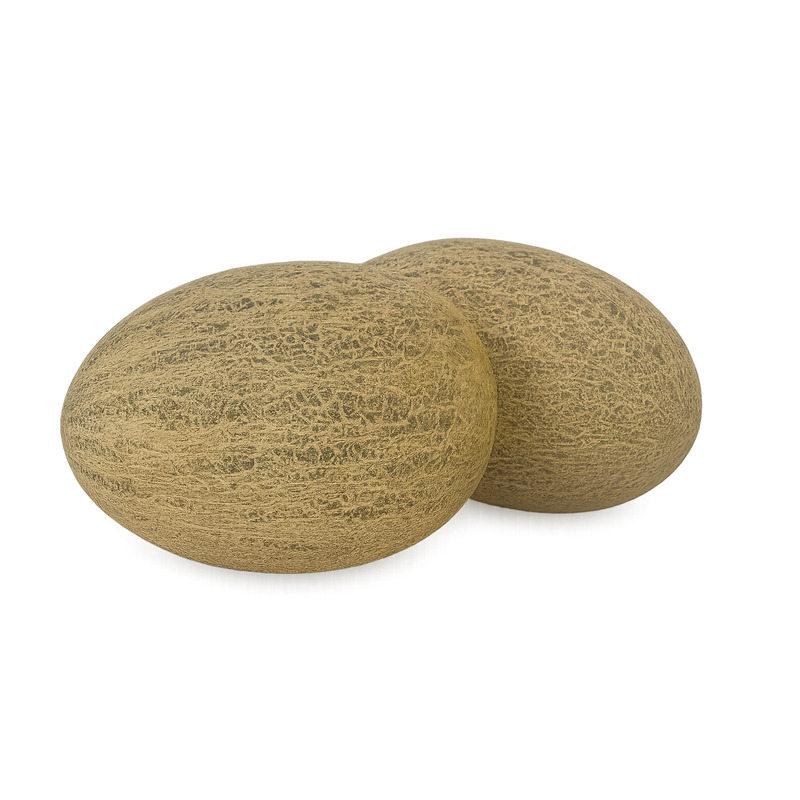 Melon Kesk-Aasia