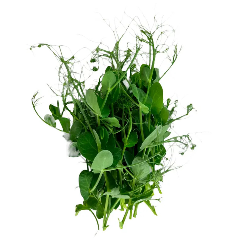 Hernevõrsed, VÄIKE MAHETALU, 50 g