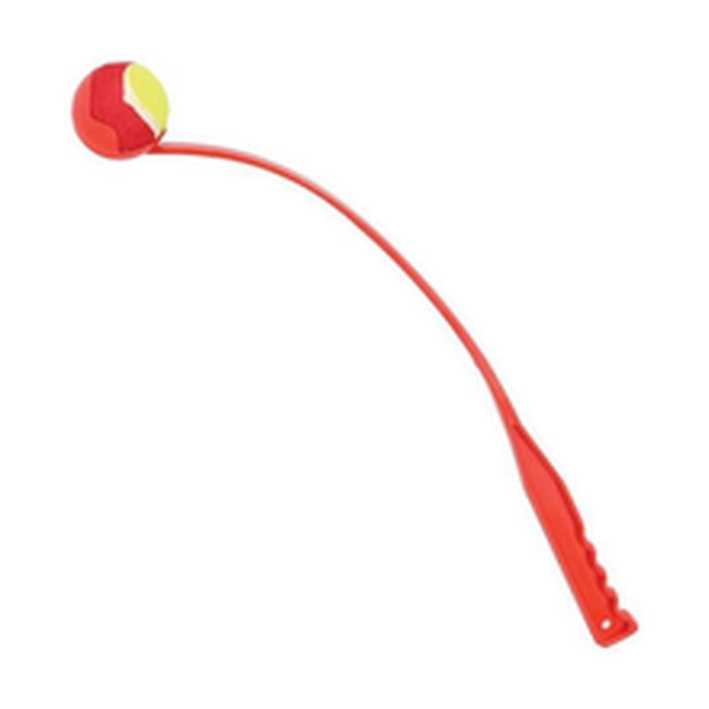 Palliviskaja koerale