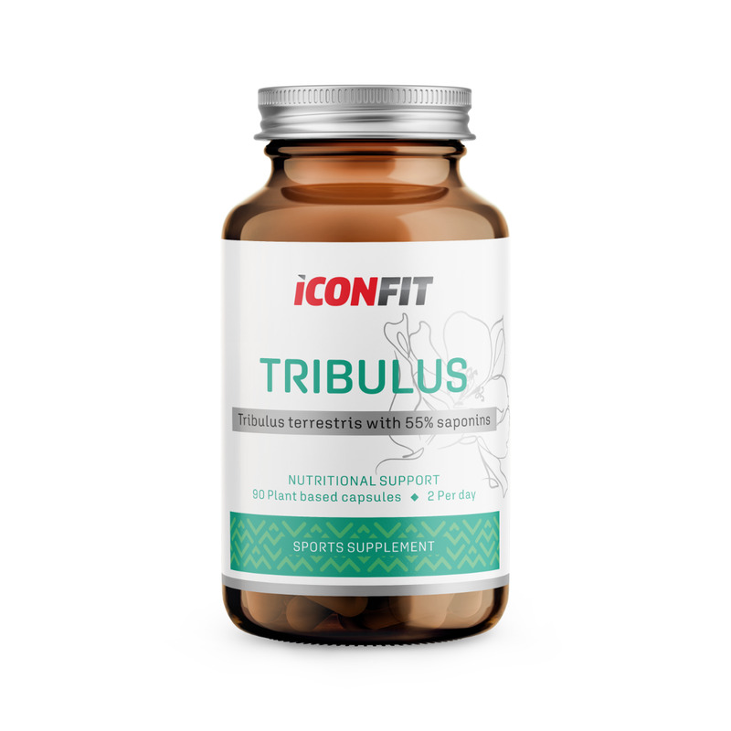 Iconfit Tribulus (95% saponiinid), 90tk