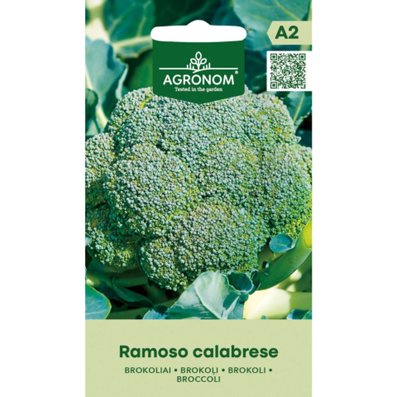 Brokkoli Ramoso Calabrese