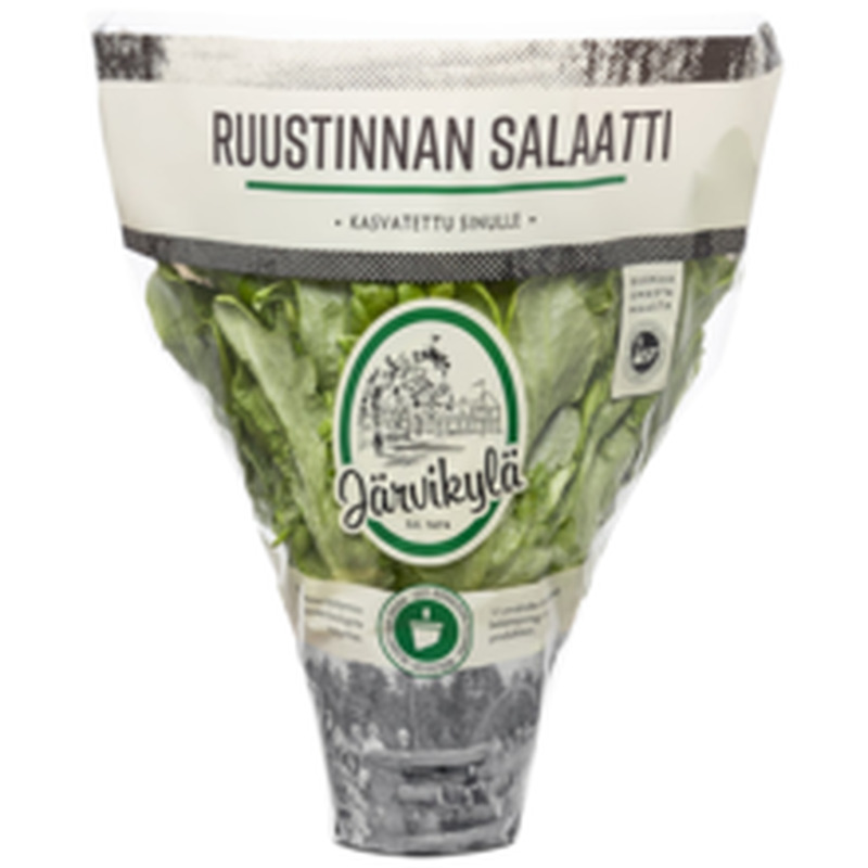 Ruustinnan salat potis