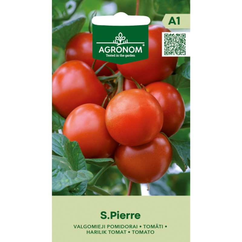Tomatid Saint Pierre