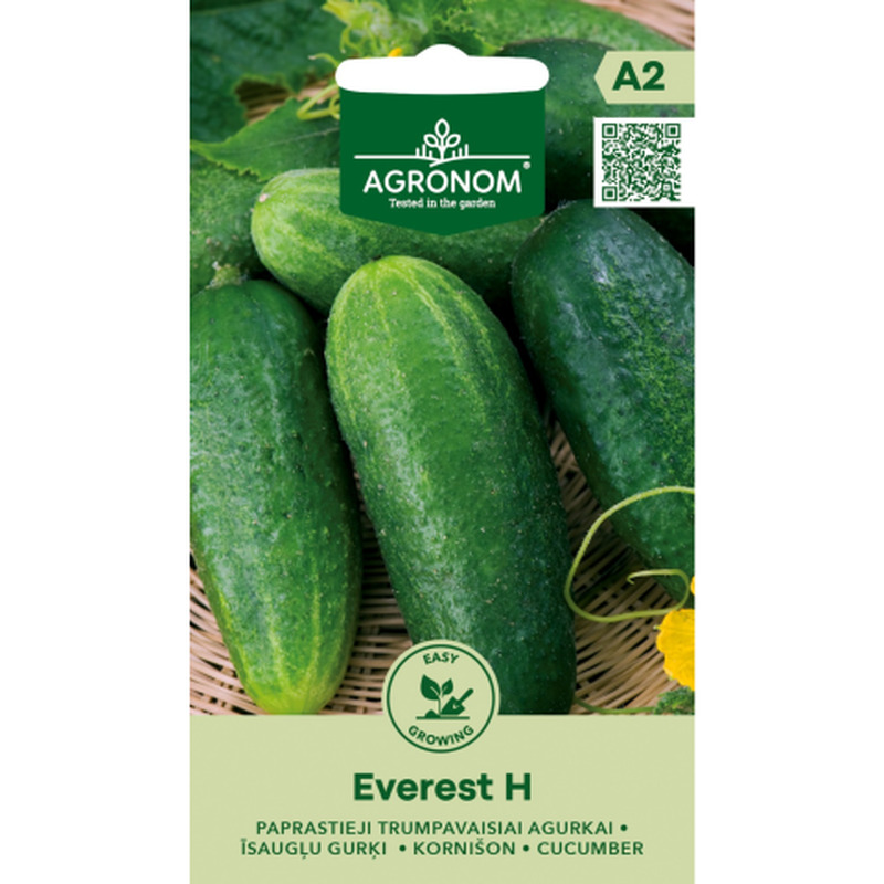 Lühikesed kurgid Everest H