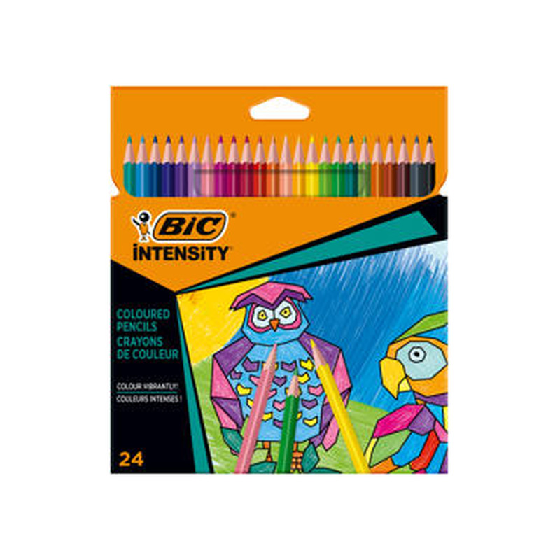 Värvipliiatsid BIC Color Up 24tk
