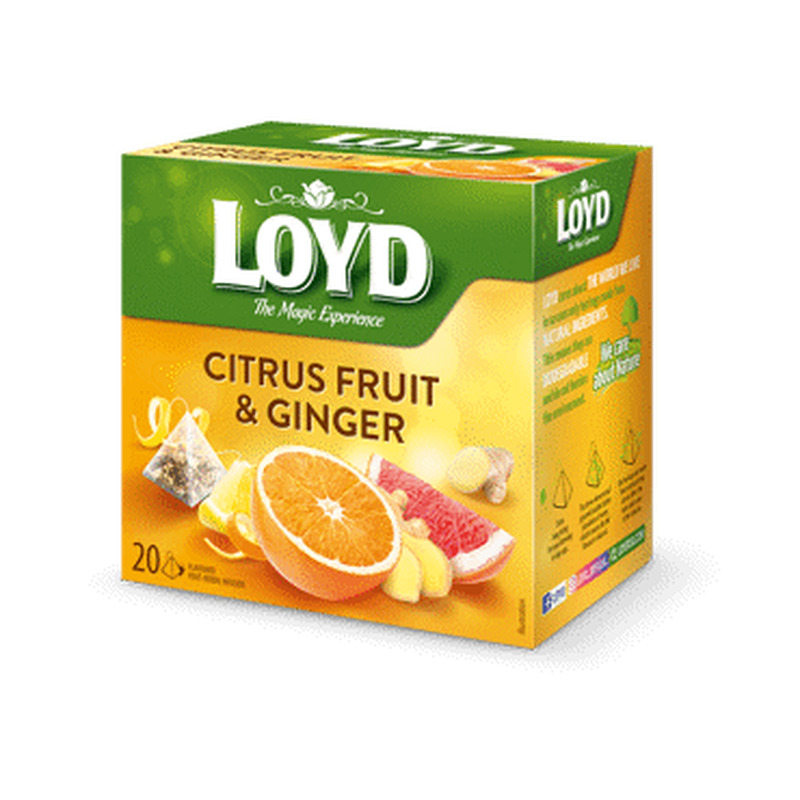 Tee LOYD Ginger&Citrus Fruit 20x2g