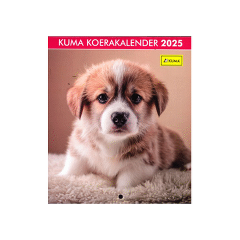 Kuma Koerakalender, 1 tk.