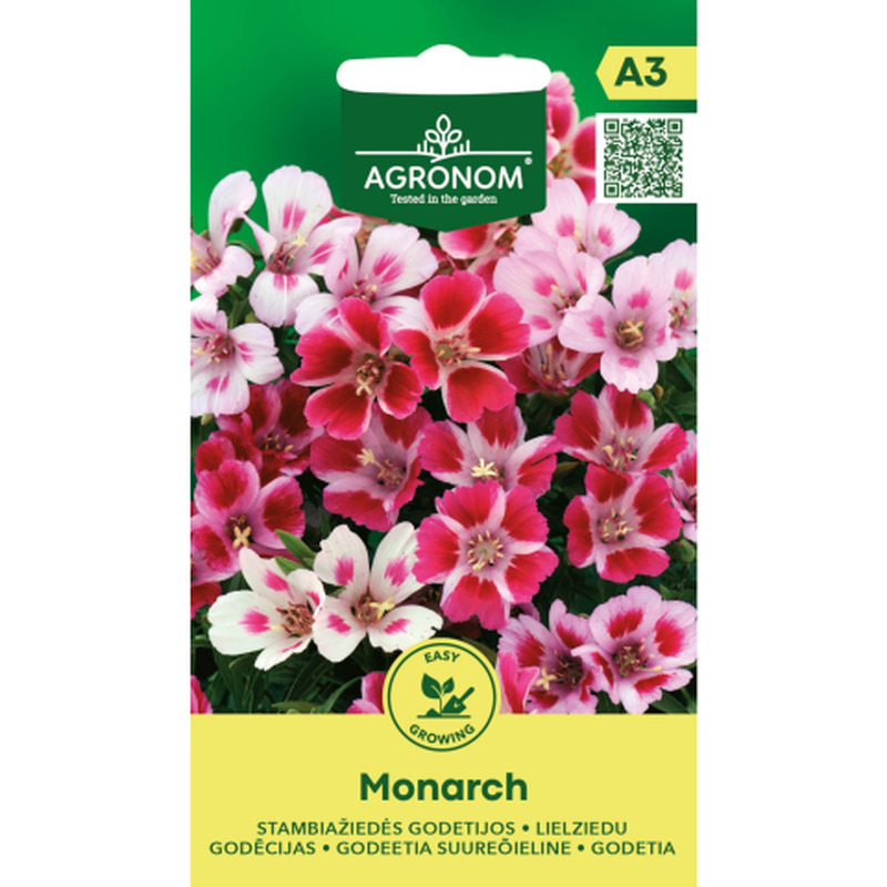 Godetia Monarch suureõieline