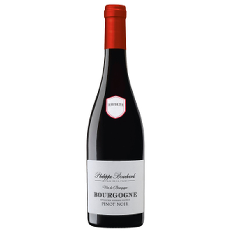 Pv P.Bouchard Bourgogne Pinot Noir 0.75L