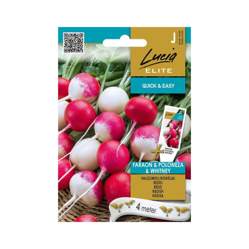 Seemned Lucia Elite Redis Faraon Poloneza Whitney LE