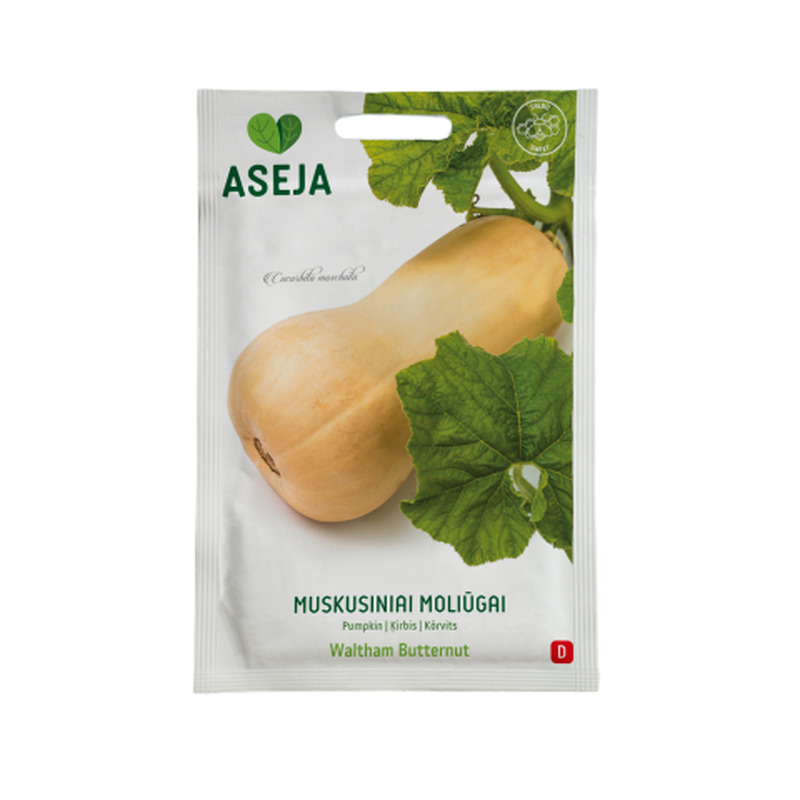 Kõrvits Waltham Butternut