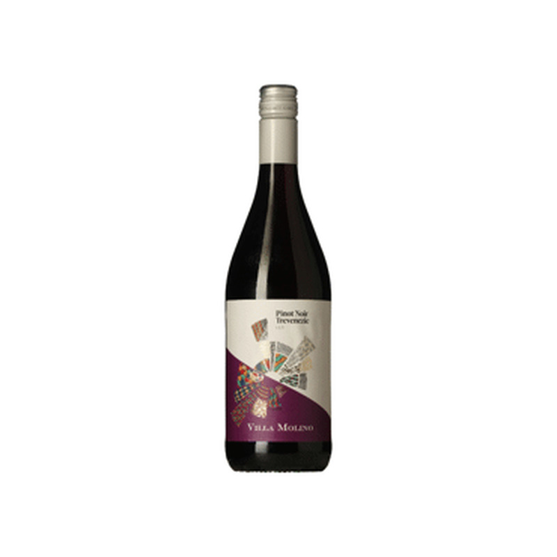 KGT vein VILLA MOLINO Pinot Noir 750ml