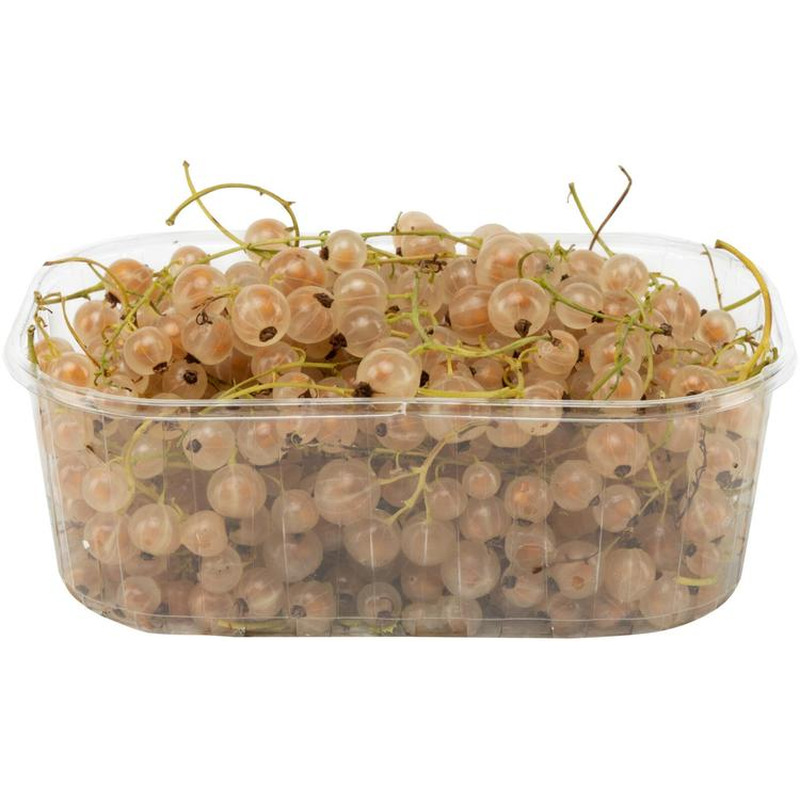 Valge sõstar 250g