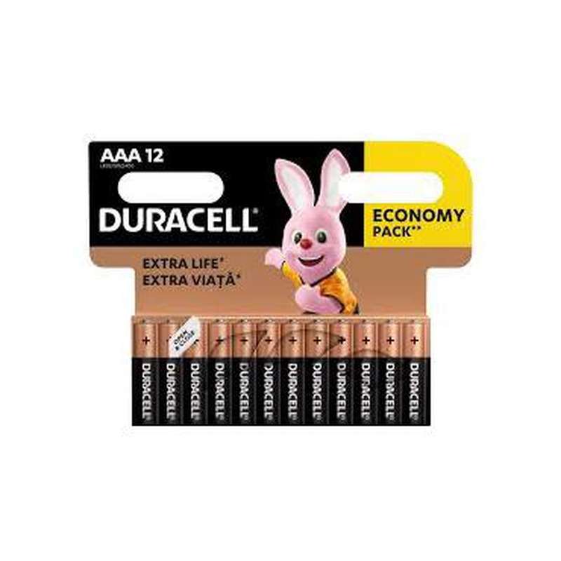 Patarei DURACELL AAA LR03 12tk Ecopack