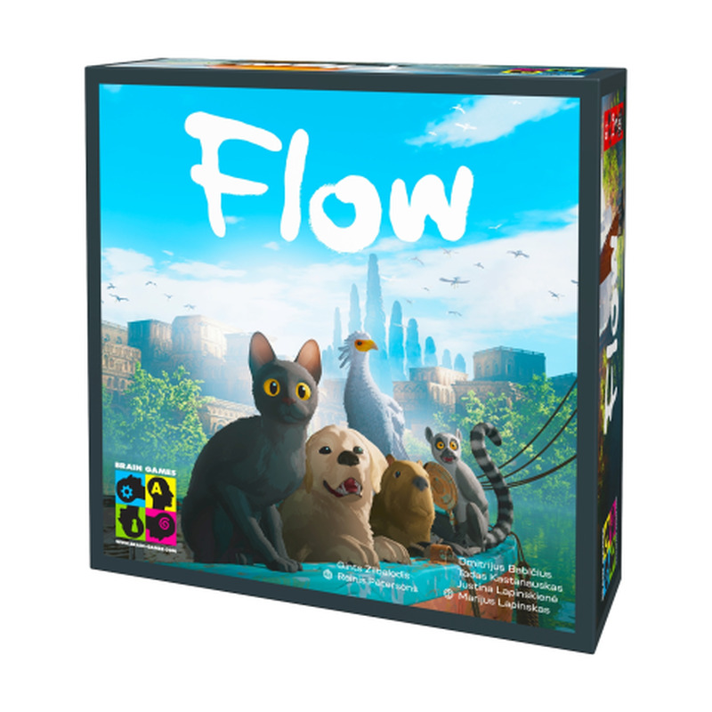 Mäng Brain Game Flow