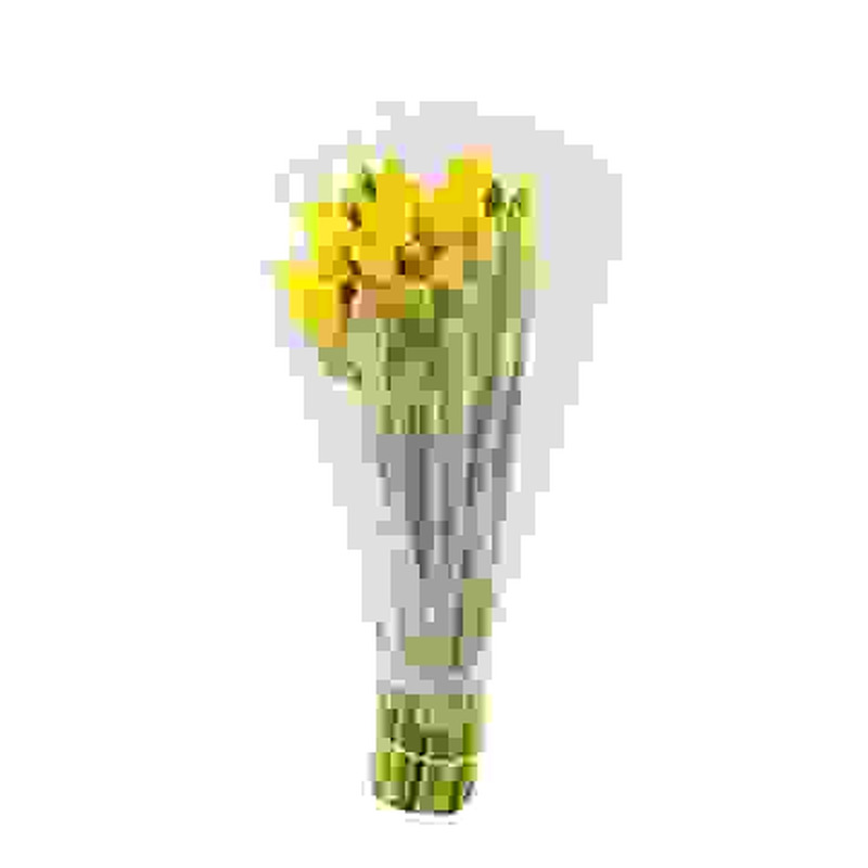 Nartsissikimp 28cm, 25 vart