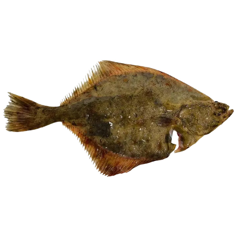 LEST ROOGITUD, JAHUTATUD KG