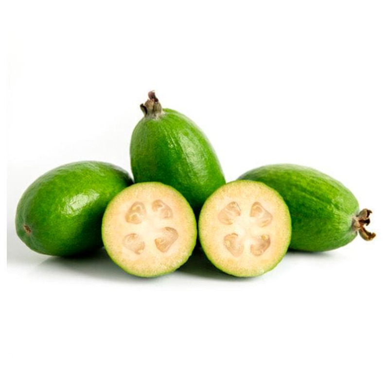 Feijoa