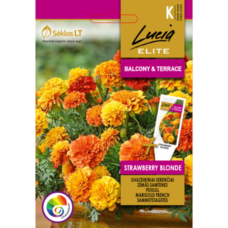 Seemned Lucia Elite Peiulill Strawberry Blonde LE