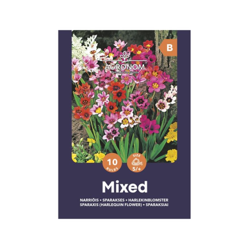 Sparaxis mix Agronom SG25