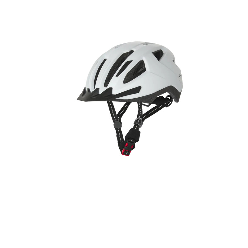 Tagatulega jalgrattakiiver