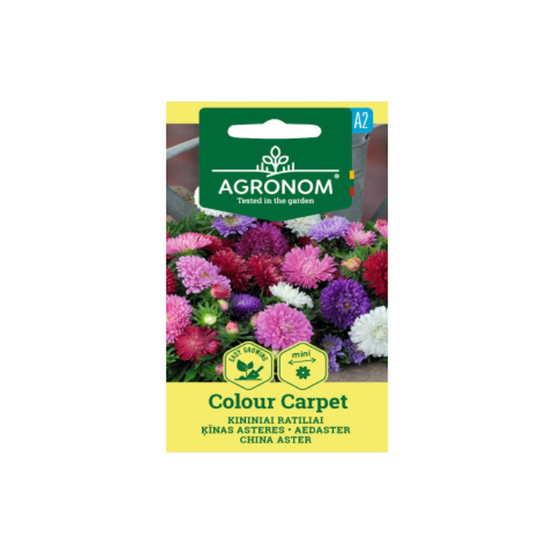 Seemned Agronom Aedaster Colour Carpet
