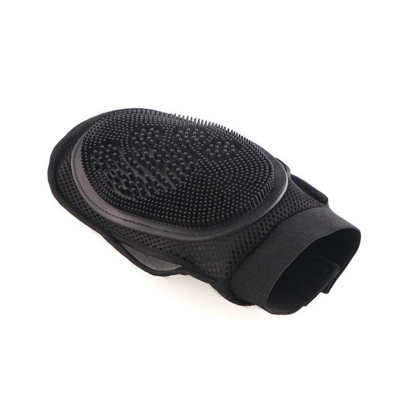 Lemmiklooma massasi, hoolitsuse kinnas