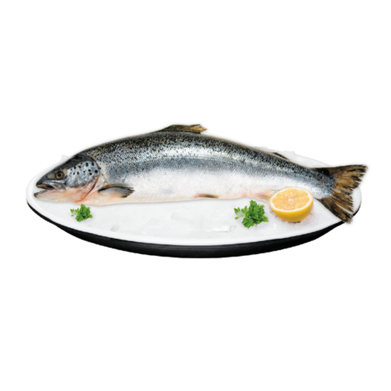 Lõhe jahutatud, roogitud kg