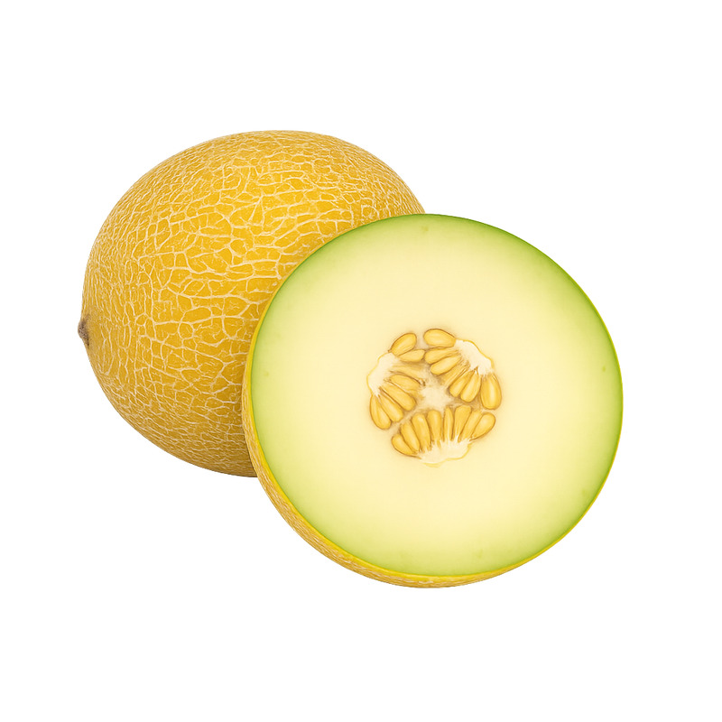 Melon Galia